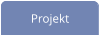 Projekt