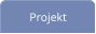 Projekt